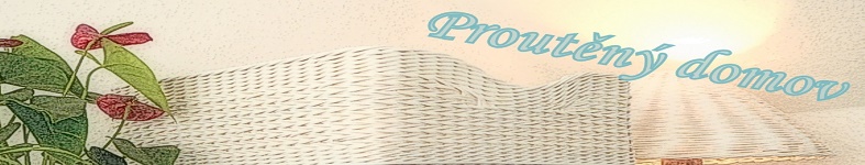 Banner profilu