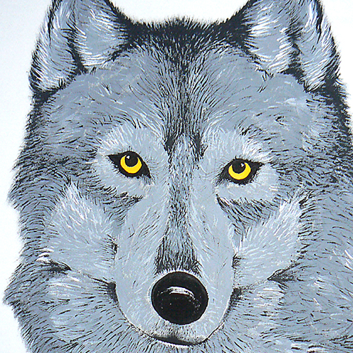 vlk - detail