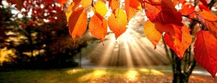 VÃ½sledek obrÃ¡zku pro podzimnÃ­ nalada