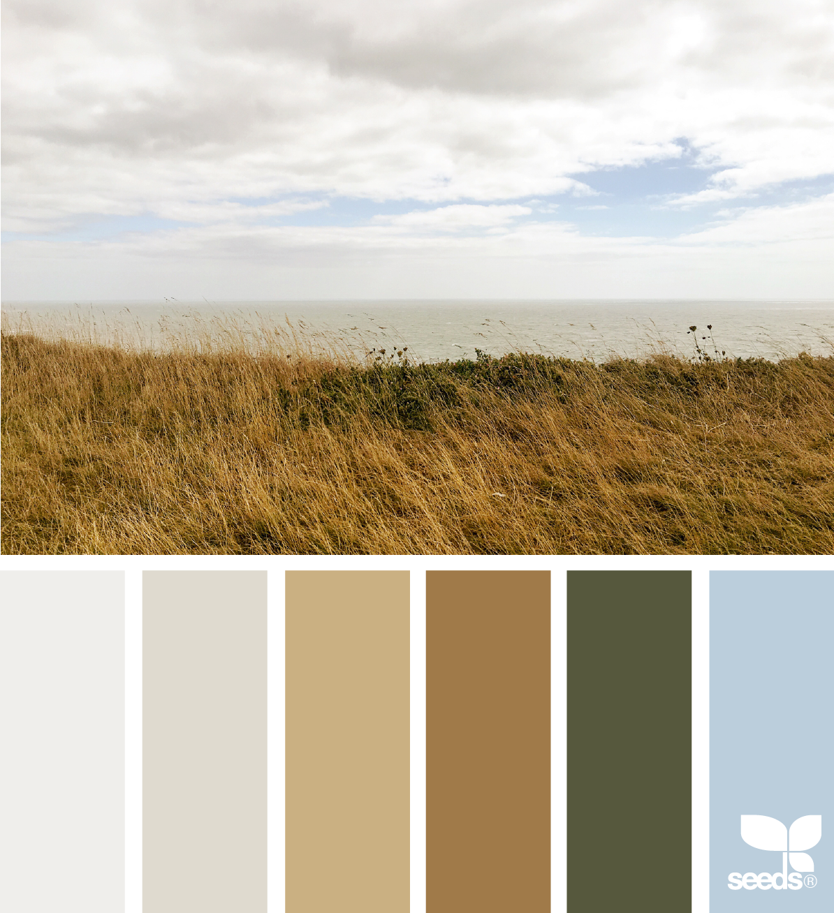 Поле цветовая схема. Цветовая палитра поле. Природные оттенки. Натуральные цвета палитра. Палитра природных натуральных цветов.