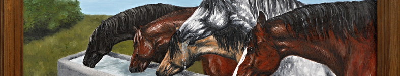 Banner profilu