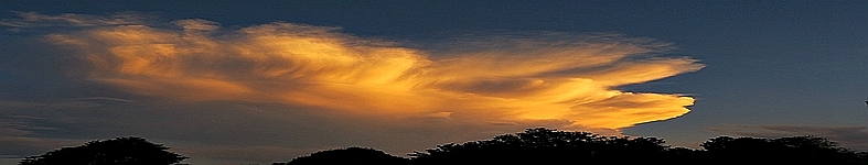 Banner profilu