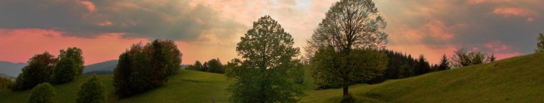 Banner profilu