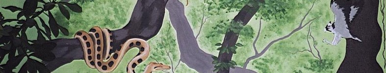 Banner profilu