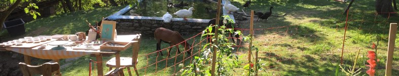 Banner profilu