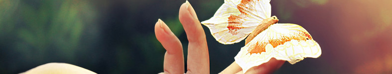 Banner profilu
