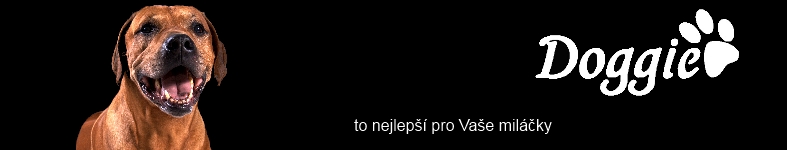 Banner profilu