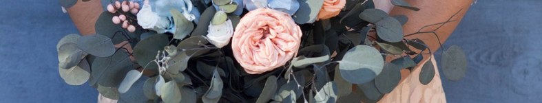 Banner profilu