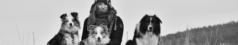 Banner profilu