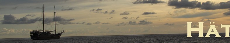 Banner profilu