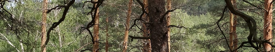 Banner profilu