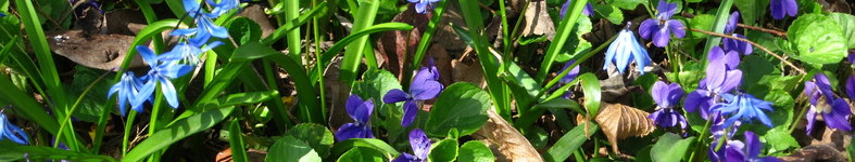 Banner profilu