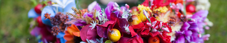 Banner profilu
