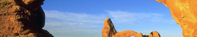 Banner profilu