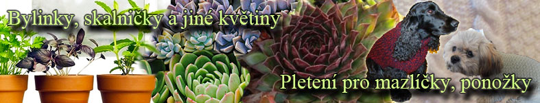 Banner profilu