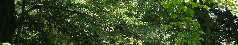 Banner profilu