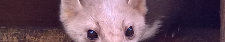Banner profilu
