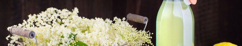 Banner profilu