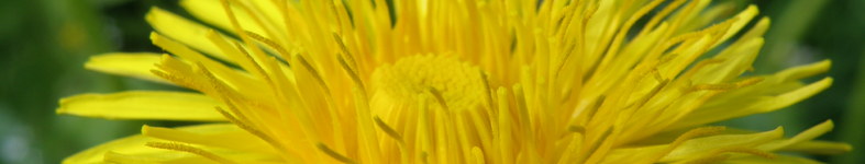 Banner profilu