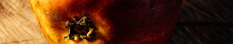 Banner profilu