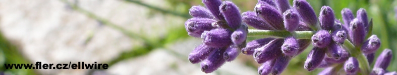 Banner profilu