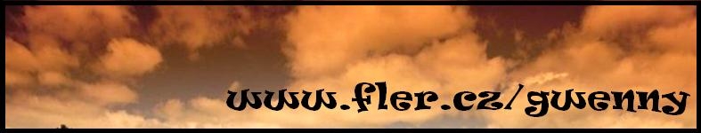 Banner profilu