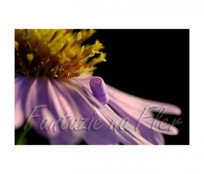 Banner profilu