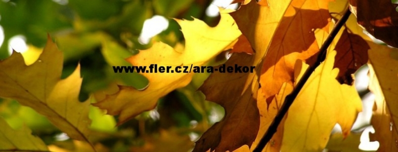 Banner profilu