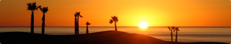 Banner profilu