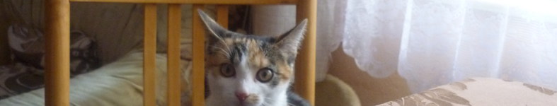 Banner profilu