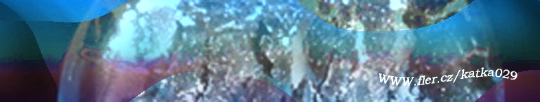 Banner profilu