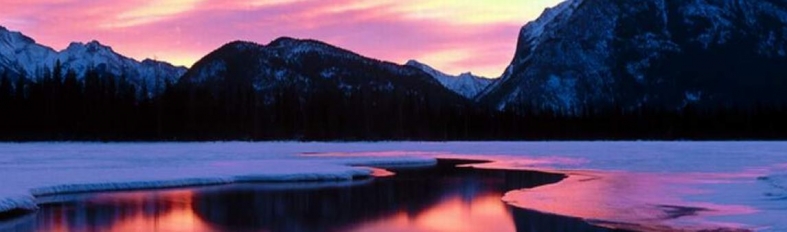 Banner profilu