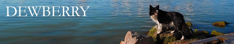 Banner profilu