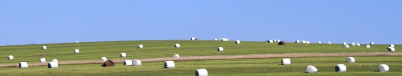 Banner profilu