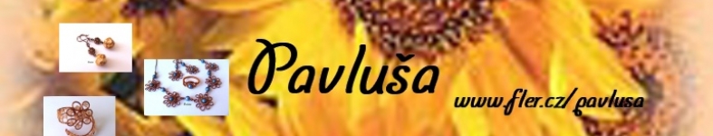 Banner profilu
