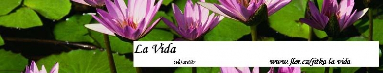 Banner profilu