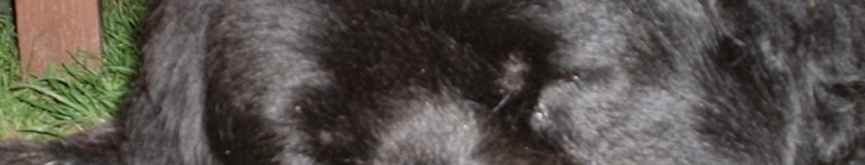 Banner profilu