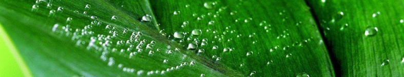 Banner profilu
