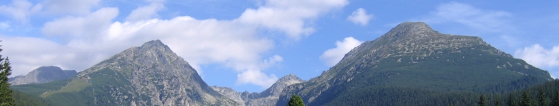 Banner profilu