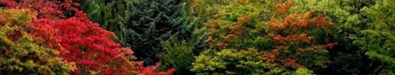 Banner profilu
