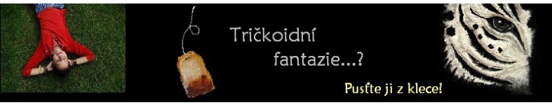Banner profilu