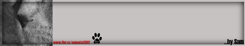 Banner profilu