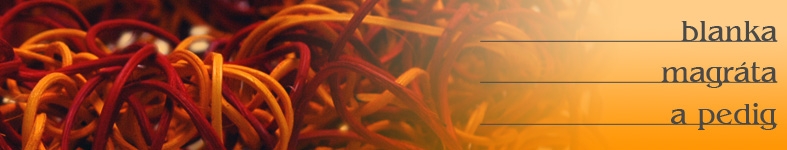Banner profilu
