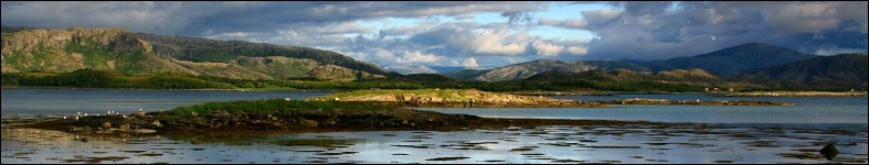Banner profilu