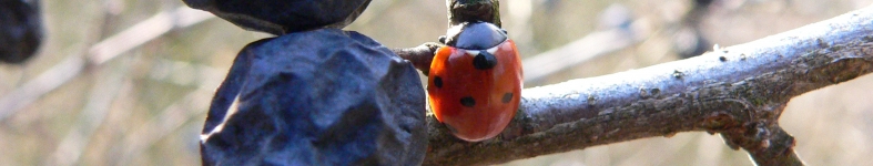 Banner profilu