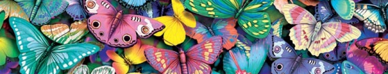 Banner profilu