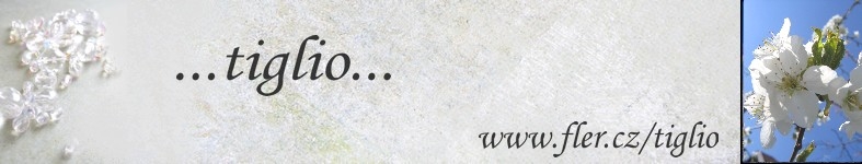 Banner profilu