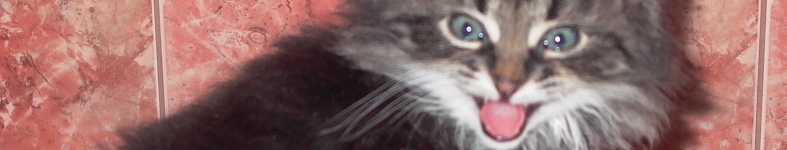 Banner profilu