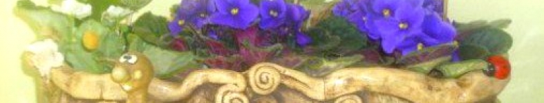 Banner profilu