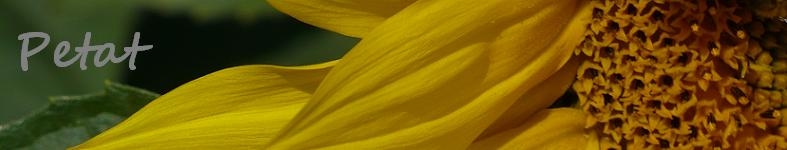 Banner profilu